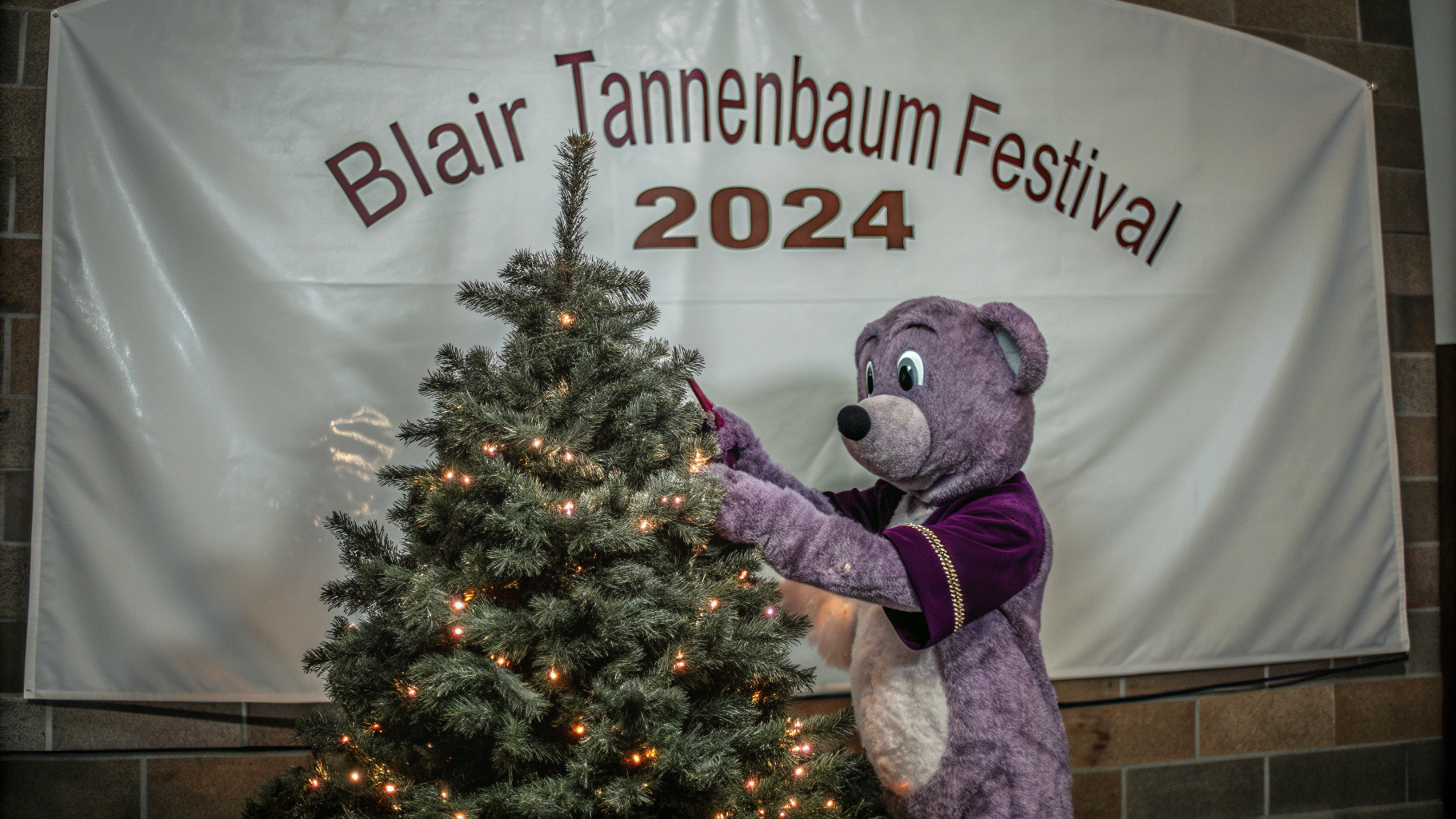 AI generated image by Red Panda AI: purple bear puts an ornament on a christmas tree, there is a banner that reads "Blair Tannenbaum Festival 2024".